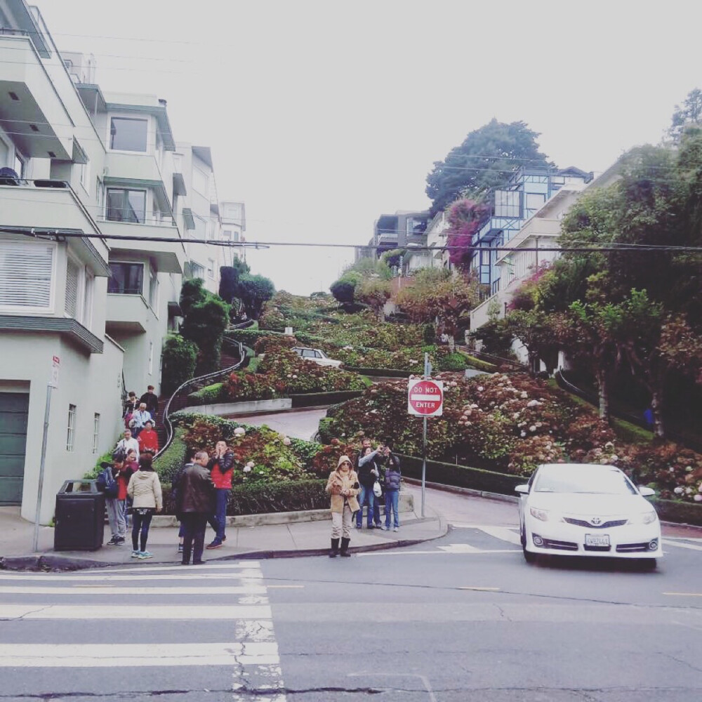 旧金山 九曲花街 Lombard Street