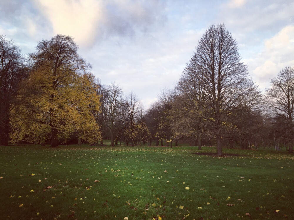 第二十二天 London。海德公园