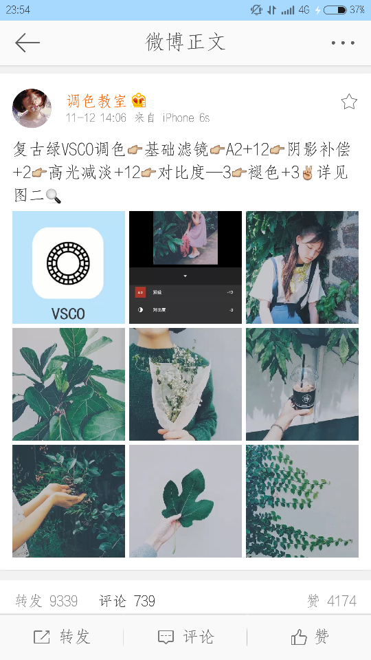 vsco 复古绿