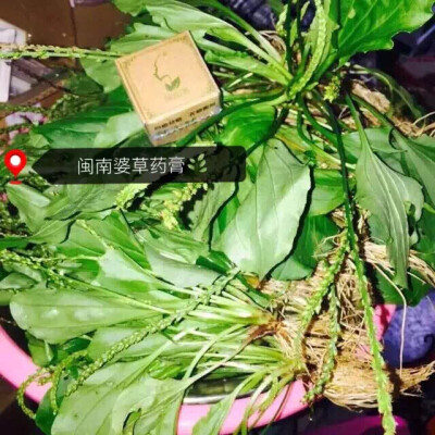 草药膏使用步骤： 1、洗面奶或者清水把脸洗净， 2、有面膜的可以敷面膜，没有面膜的可以用温毛巾敷一下脸，这样可以把毛孔打开，（面膜一般一周2～3次） 3、敷好面膜后清水洗净再涂草药膏，或者没有敷面膜的用温毛…