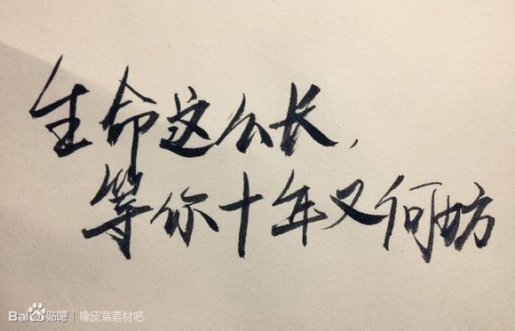 *文字*橡皮章素材*生命这么长，等你十年又何妨！