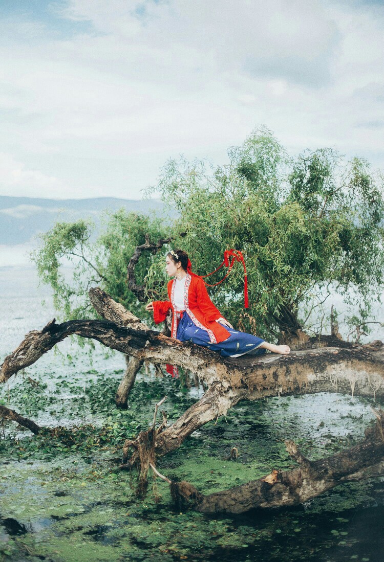 云青青兮欲雨，水澹澹兮生烟。