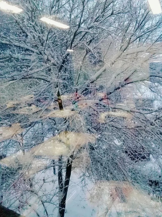  雪