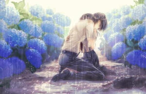 动漫  紫阳花！