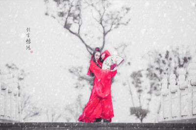 （剑雪惊鸿）提剑跨骑挥鬼雨.白骨如山鸟惊飞.尘世如潮人如水.只叹江湖几人回。