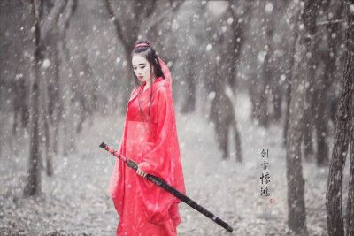 （剑雪惊鸿）提剑跨骑挥鬼雨.白骨如山鸟惊飞.尘世如潮人如水.只叹江湖几人回。