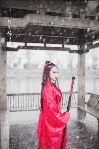 （剑雪惊鸿）提剑跨骑挥鬼雨.白骨如山鸟惊飞.尘世如潮人如水.只叹江湖几人回。