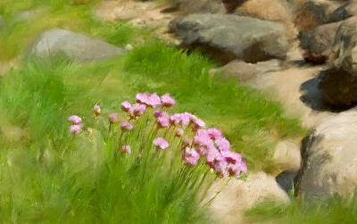 Stony Beach ImpressionArtistLutz BaarMediumPainting - Digitally Painted 海石竹