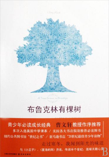 《布鲁克林有棵树》是作家贝蒂·史密斯的力作，它与《安琪拉的灰烬》属于同类小说——是“成长小说”，也可称为“家小说”。它写了弗兰西一家子的故事。一个感人的大故事里镶嵌着无数的小故事，而所有这些故事都围绕着一个词：感动。