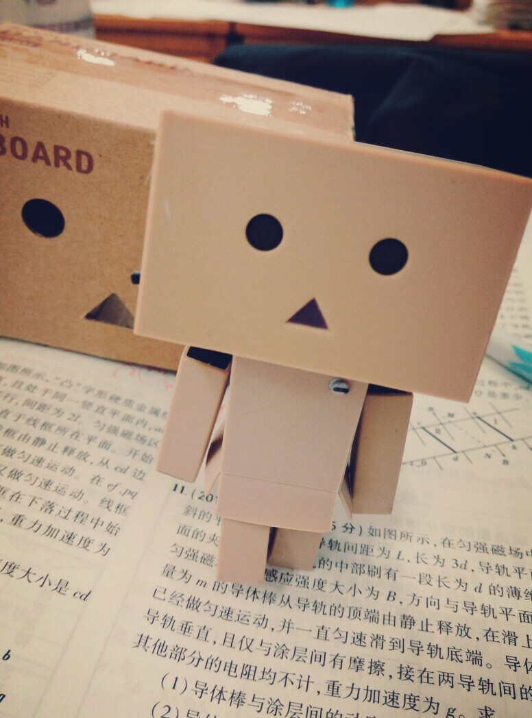 买了一只 DANBOARD ，摆几个造型～