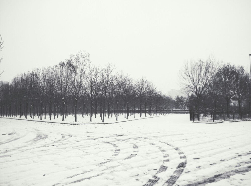 雪景和黑白更陪哦