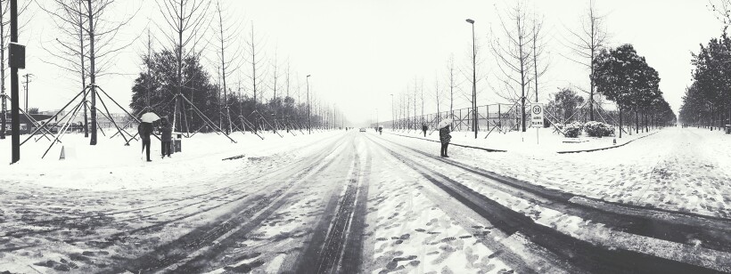 雪景里的世纪大道