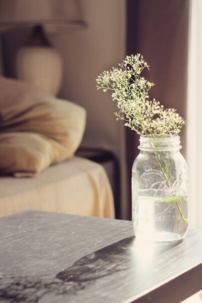 给家里的每一个花瓶换上鲜花