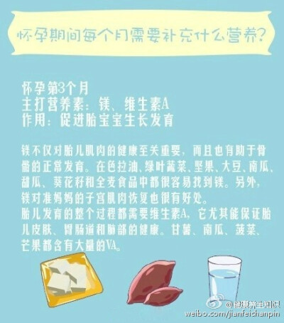 怀孕期间的准备