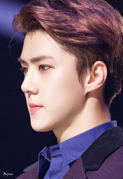 EXO.吴世勋 SEHUN