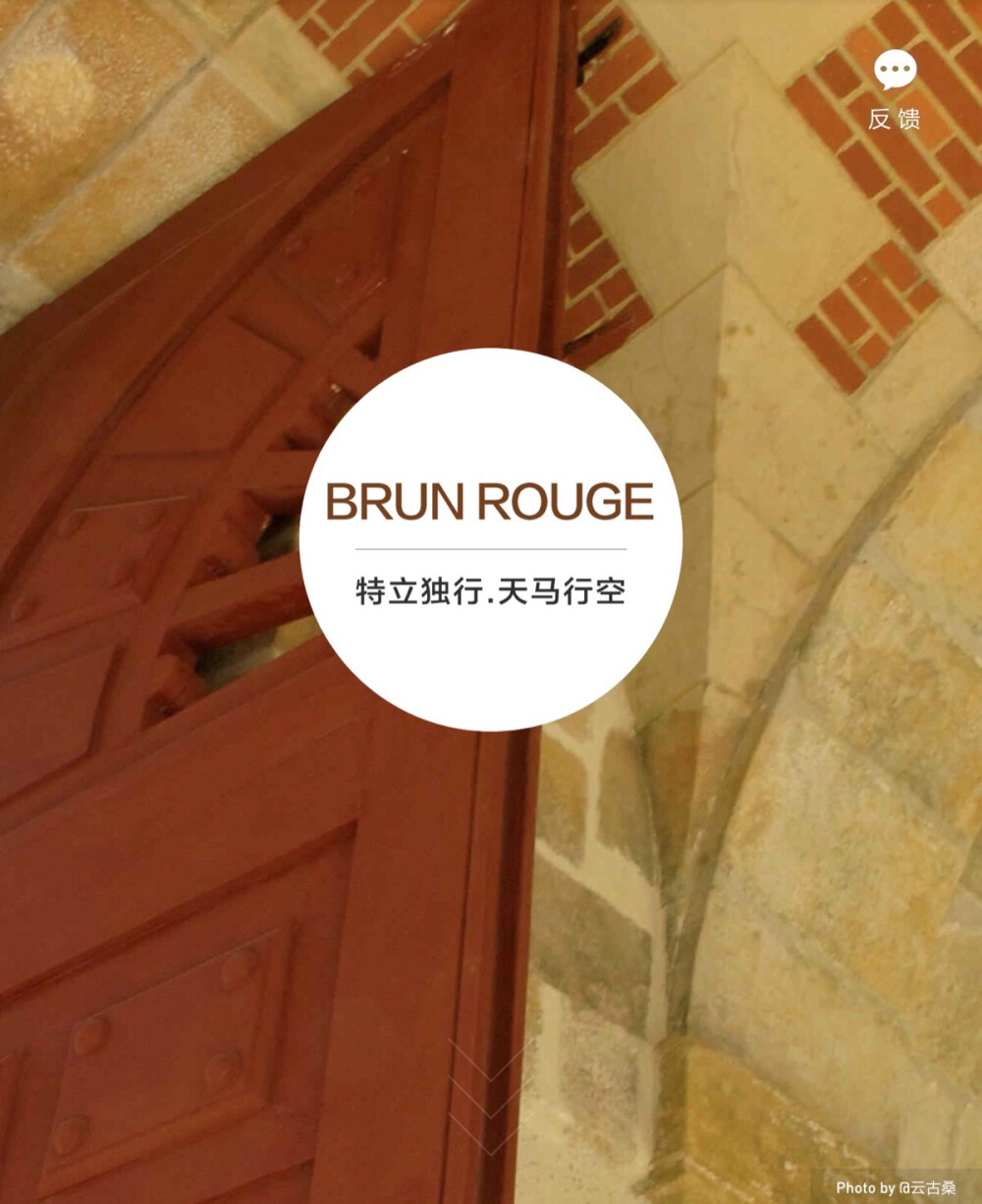 淘宝色彩购——BRUN ROUGE（红褐色）