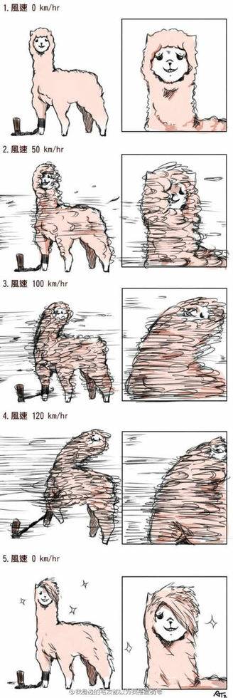 草泥马教你如何换个帅发型