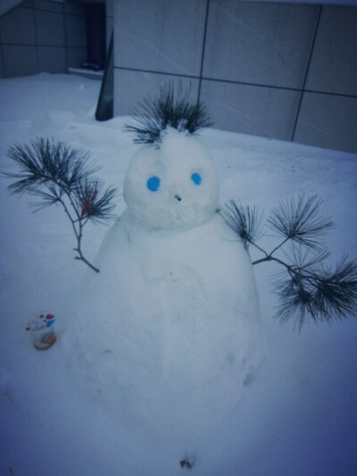 捕获一只画风新奇的雪人（微笑脸）