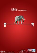 高露洁系列广告