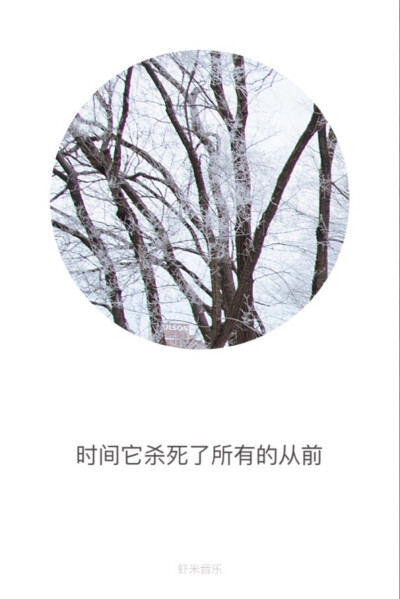 歌词壁纸❤️