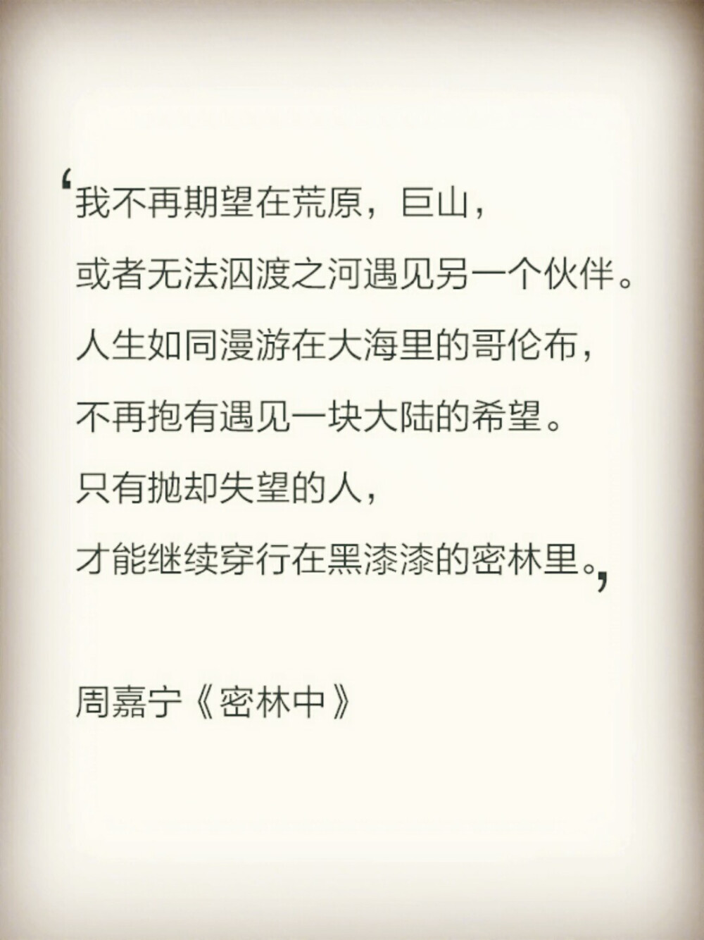 周嘉宁《密林中》