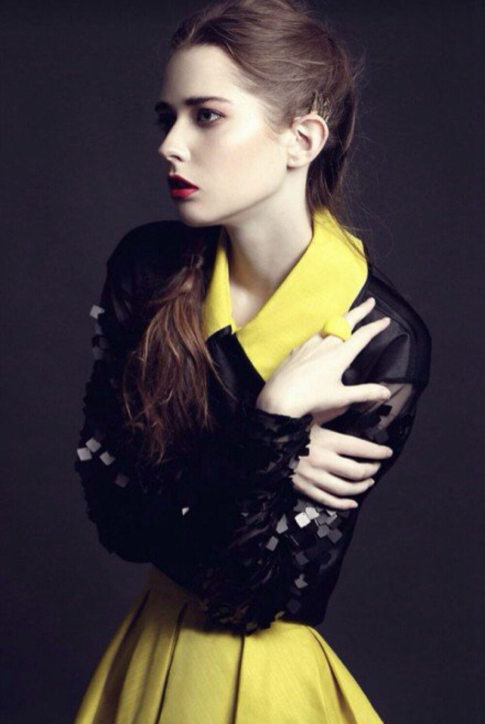 antm C15 Ann Ward