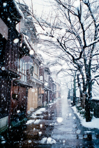  冬季里萧瑟、黑白，喜欢这种干净的清冷，期盼着鹅毛样的大雪，精灵一样像极了你，随着风儿，铺满我的世界；扬起脸颊，待你滑落我的嘴角，暖你融化，凉凉的，与众不同的属于这个季节才有的你，像极了你的万众瞩目； …