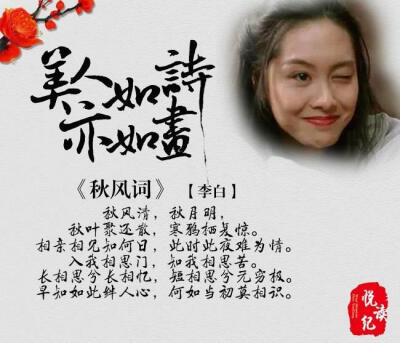 美人如画亦如诗