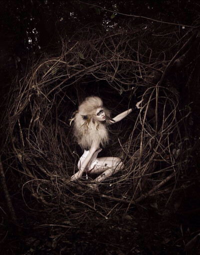 antm C12 C17 Allison Harvard