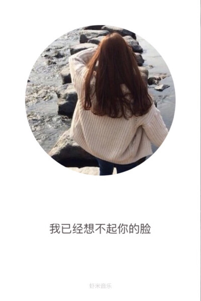 歌词壁纸❤️我也没有你的照片