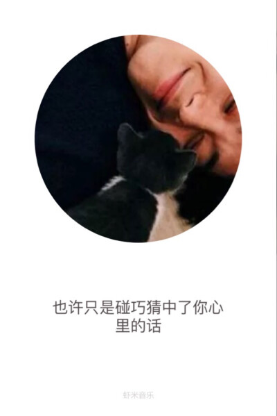 歌词壁纸❤️ 我还没办法说谎