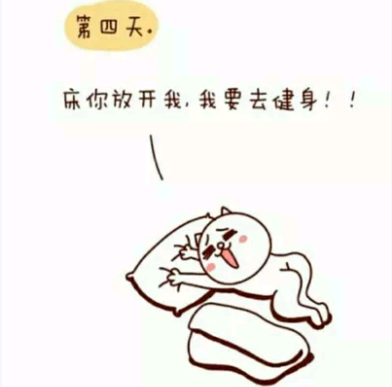 嗷大喵