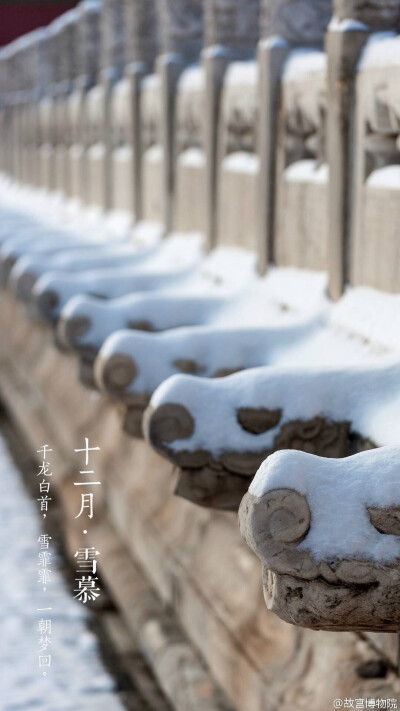 #紫禁城岁时#十二月·雪慕 图源微博@故宫博物院