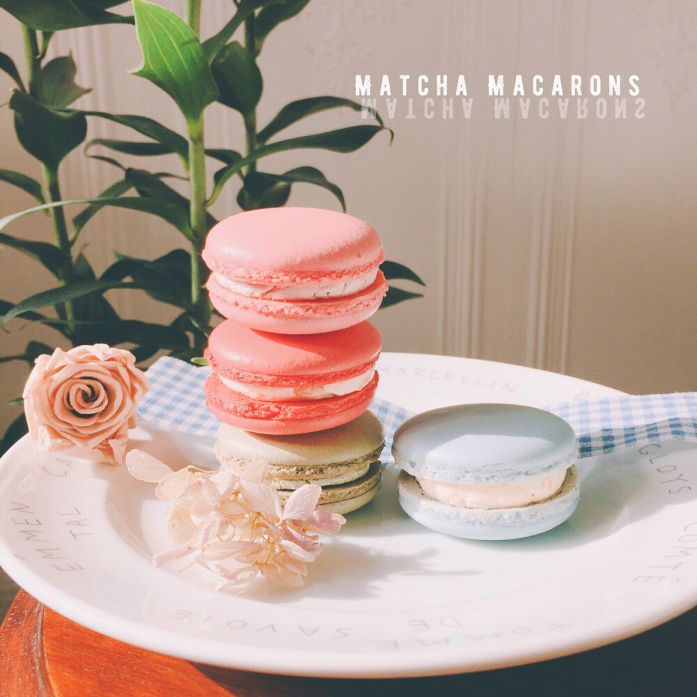 Macarons