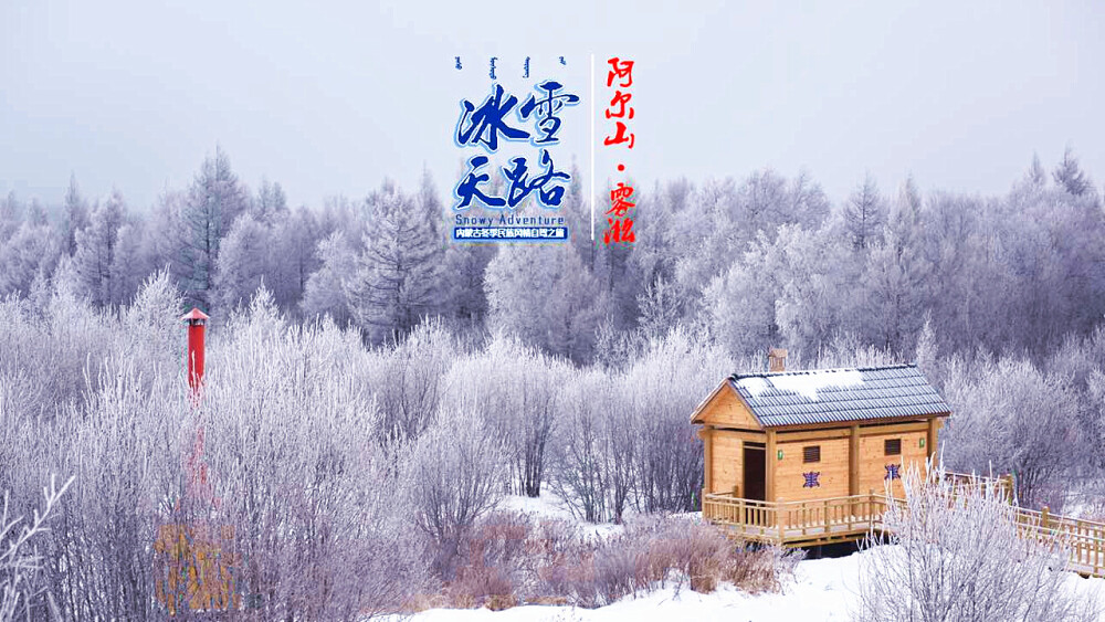 #冰雪天路·内蒙古#阿尔山·雾凇。追着日头奔赴阿尔山白狼峰景区观赏大自然的观赏银白色的雾凇，亭亭玉立、银白圣洁。百万亩人工林和白桦林如今已雪满枝头，白浪翻滚，一望无垠。