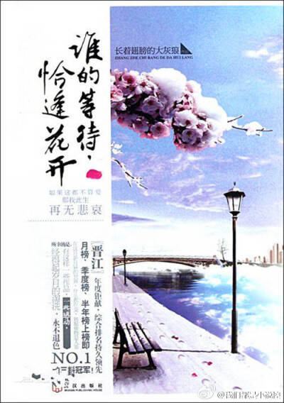 《谁的等待，恰逢花开》 爱小说，喜欢入坑。