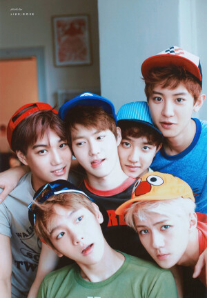 茶蛋成員合影大集合