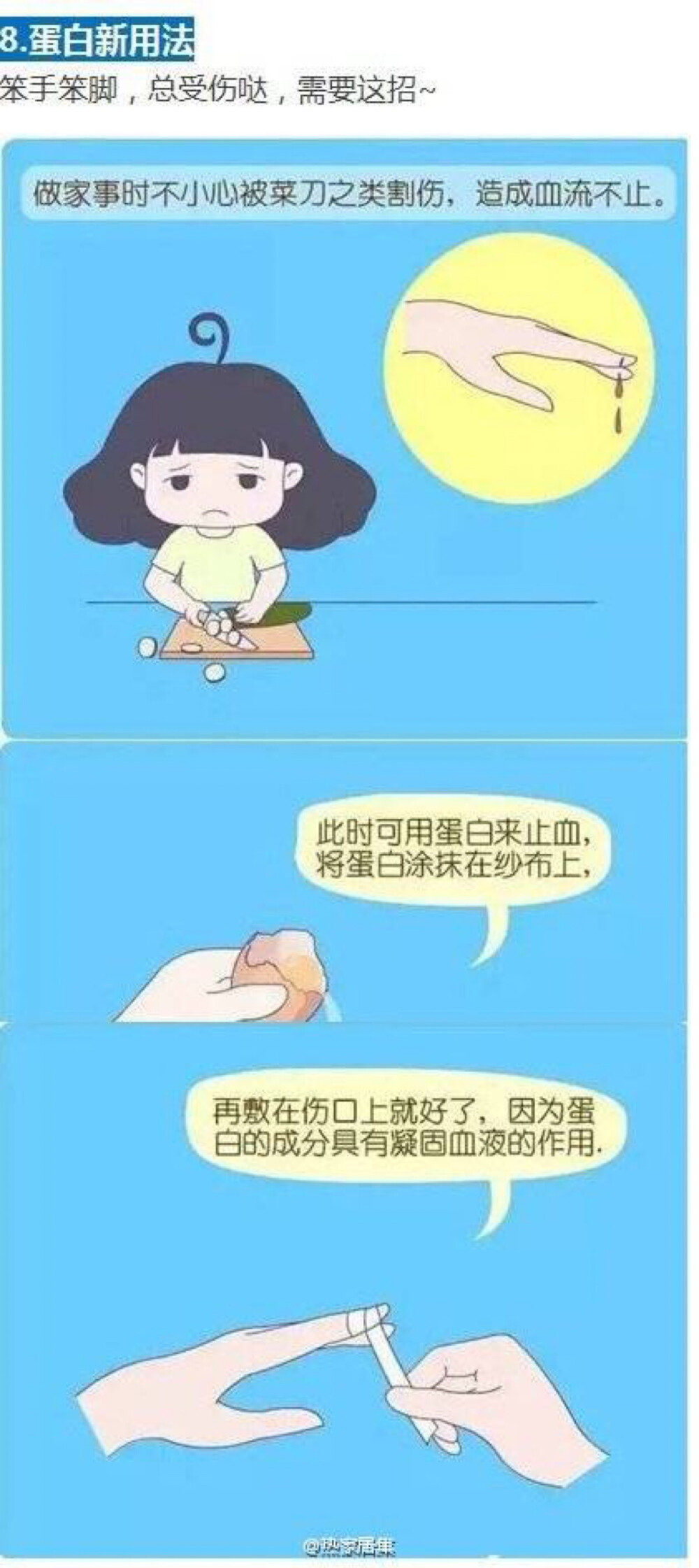 运用蛋白