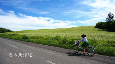 北海道的夏天很美，抛开历史包袱一起去北海道