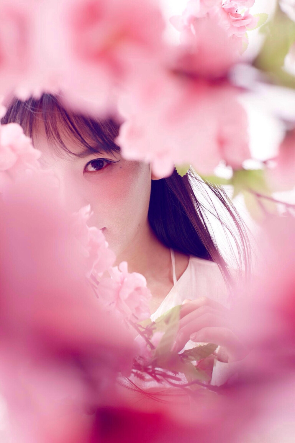 南笙- 高清图片,堆糖,美图壁纸兴趣社区