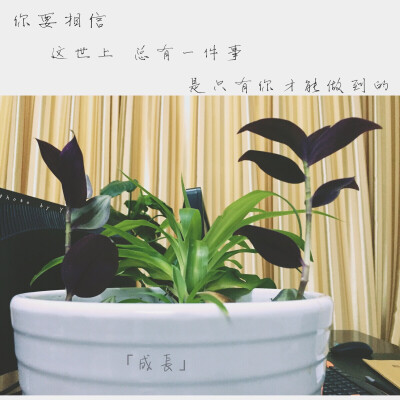 你要相信，这世上总有一件事情是只有你才能做到的。