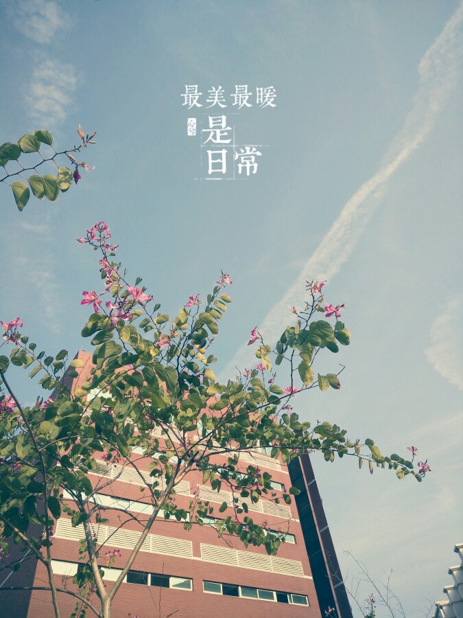 阳光普照，彼此安好