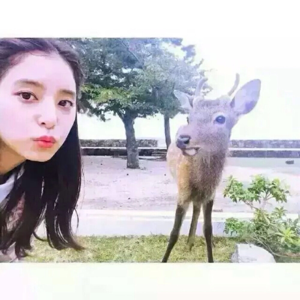 韩风头像 by-朴火山(・ω・)ノ