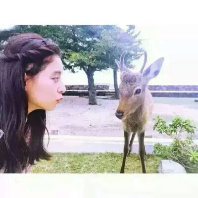 韩风头像 by-朴火山(・ω・)ノ