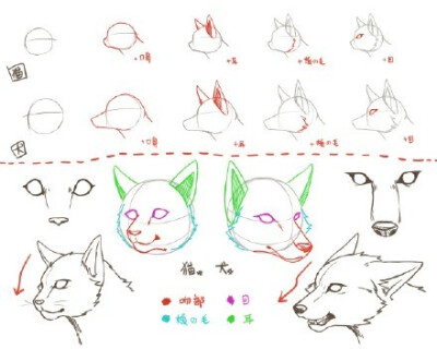 【转载】 SAI上色教程 手绘教程 厚涂教程 绘画学习 上色技巧