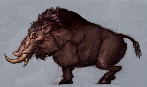 当康是栖息在山中有獠牙的猪叫声像在叫自己的名字瑞兽