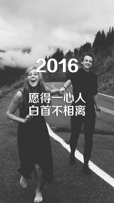 2016，愿得一人心，白首不相离