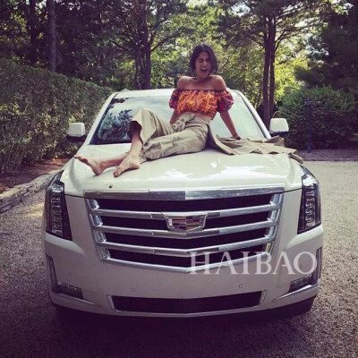 莉安德拉·梅丁