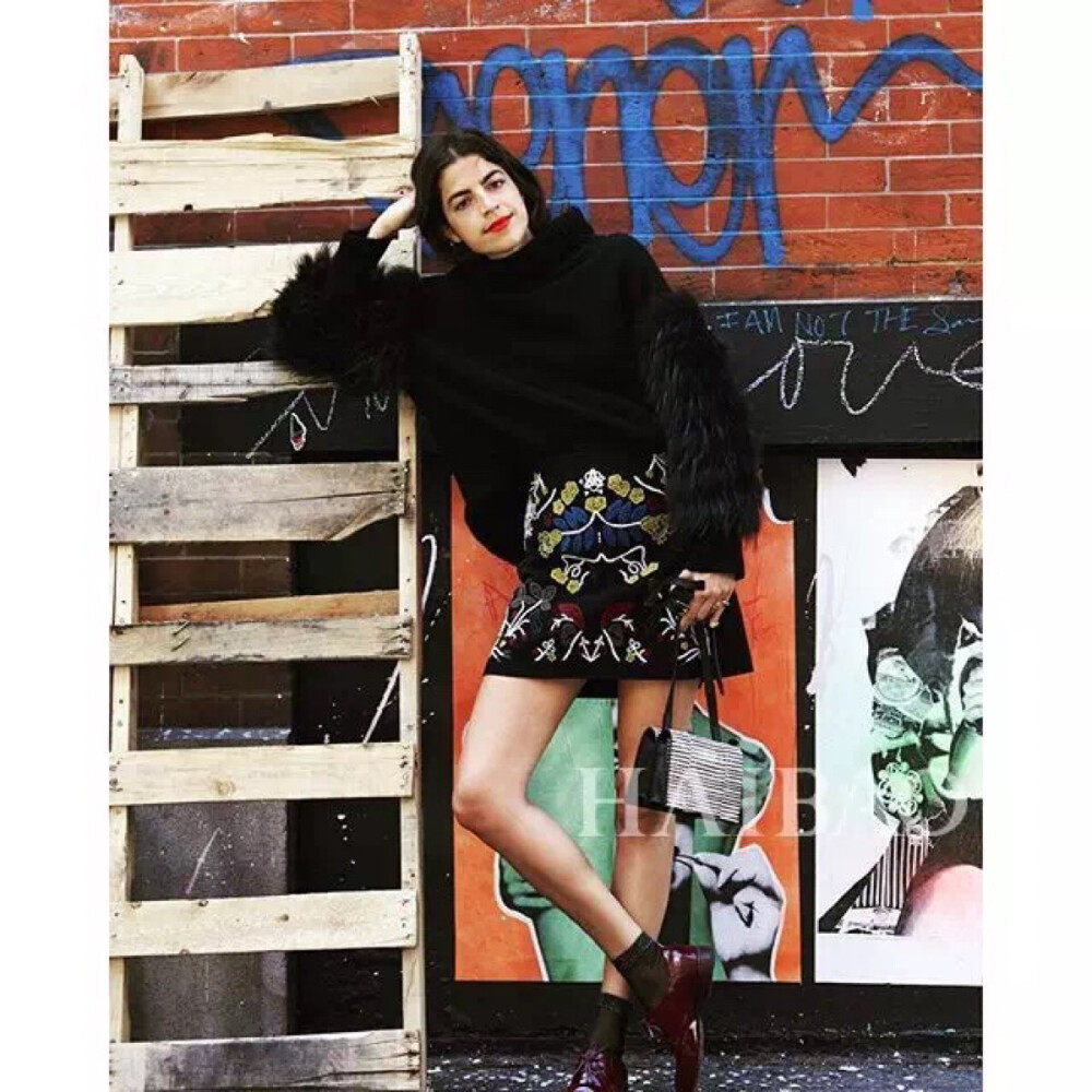 莉安德拉·梅丁