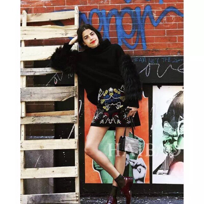 莉安德拉·梅丁